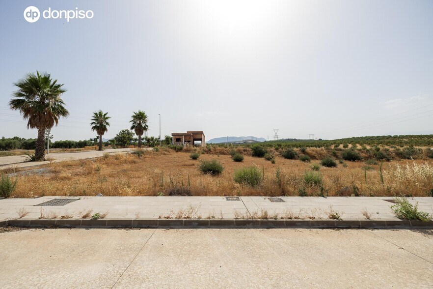 Land in Albolote for sale - Building Photo - Image 3 of 5