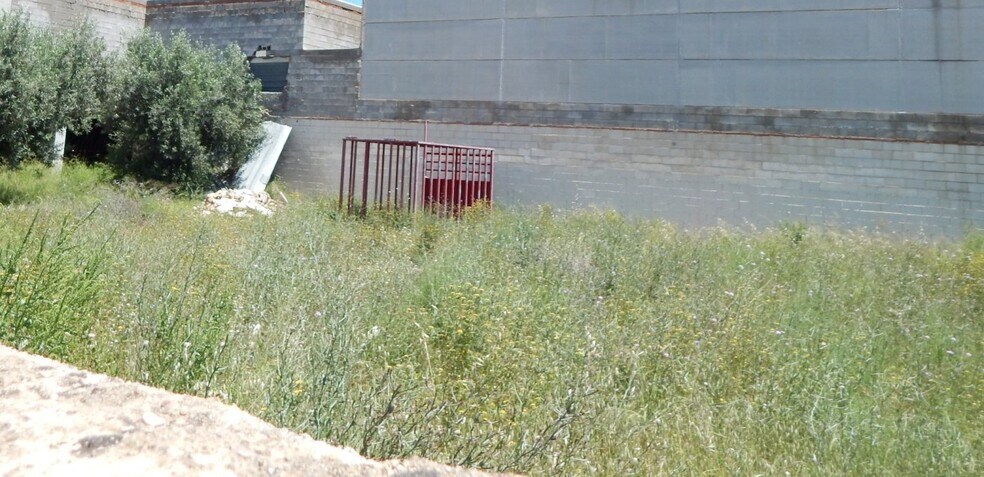 Land in València, Valencia for sale - Primary Photo - Image 1 of 2