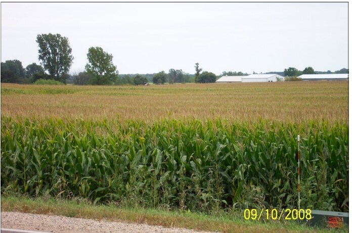 Plaza Street Site, Albert Lea, MN for sale - Other - Image 3 of 6