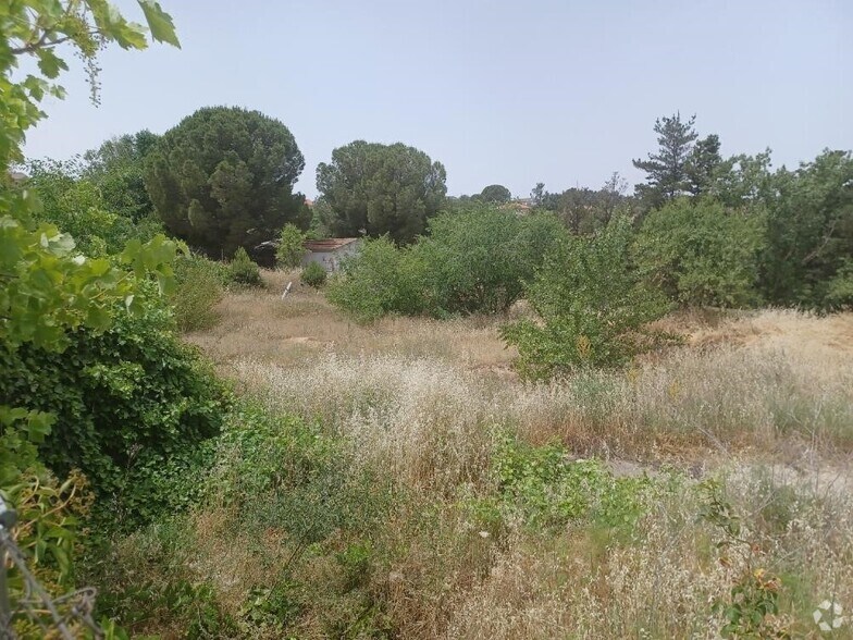 Land in Ribatejada, Madrid for sale - Building Photo - Image 3 of 4