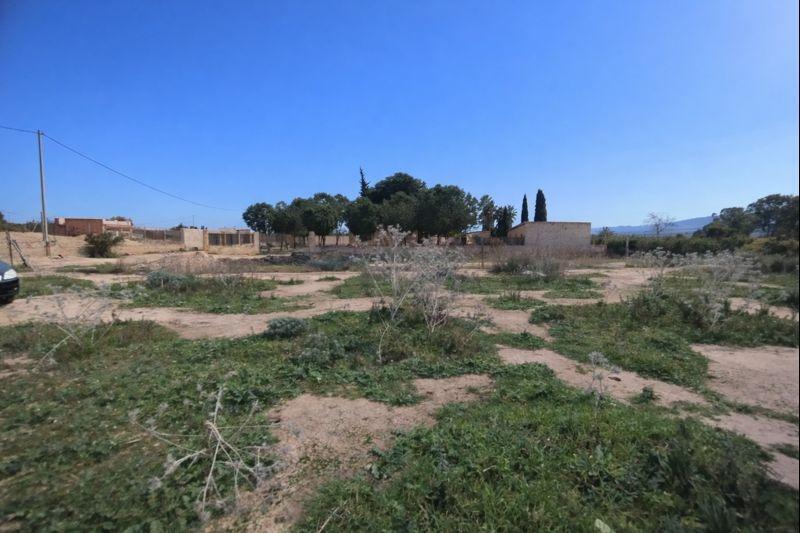 Paraje, 831, Librilla, Murcia for sale - Site Plan - Image 1 of 17