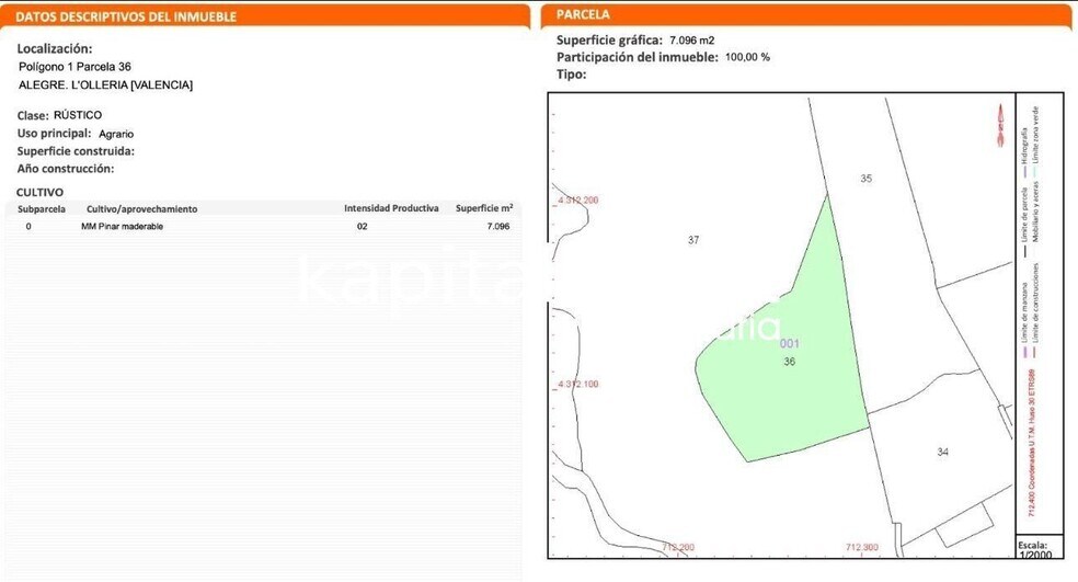 Land in L'Olleria, Valencia to rent - Site Plan - Image 2 of 2