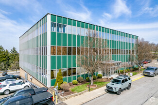 More details for 100 Fleet St, Pittsburgh, PA - Office, Office/Medical for Rent