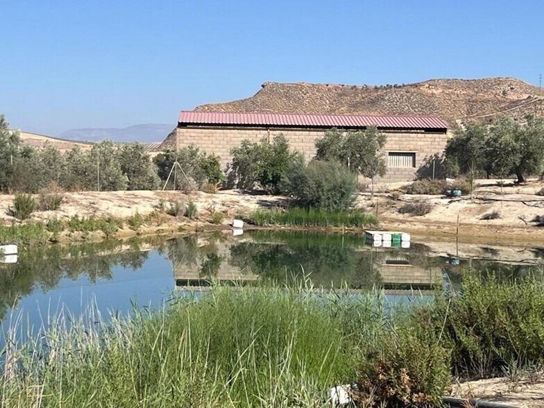 Land in La Malahá, Granada for sale - Building Photo - Image 2 of 36