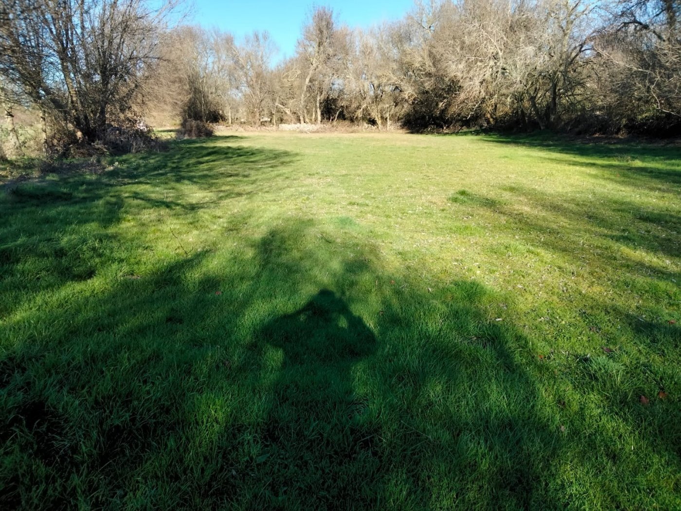 Land in Encina de San Silvestre, Salamanca to rent Primary Photo- Image 1 of 6