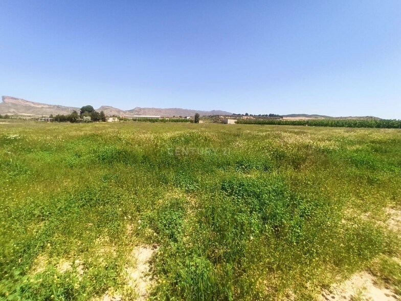 Vereda, 246, Jumilla, Murcia for sale - Primary Photo - Image 1 of 11