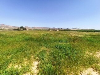More details for Vereda, 246, Jumilla - Land for Sale