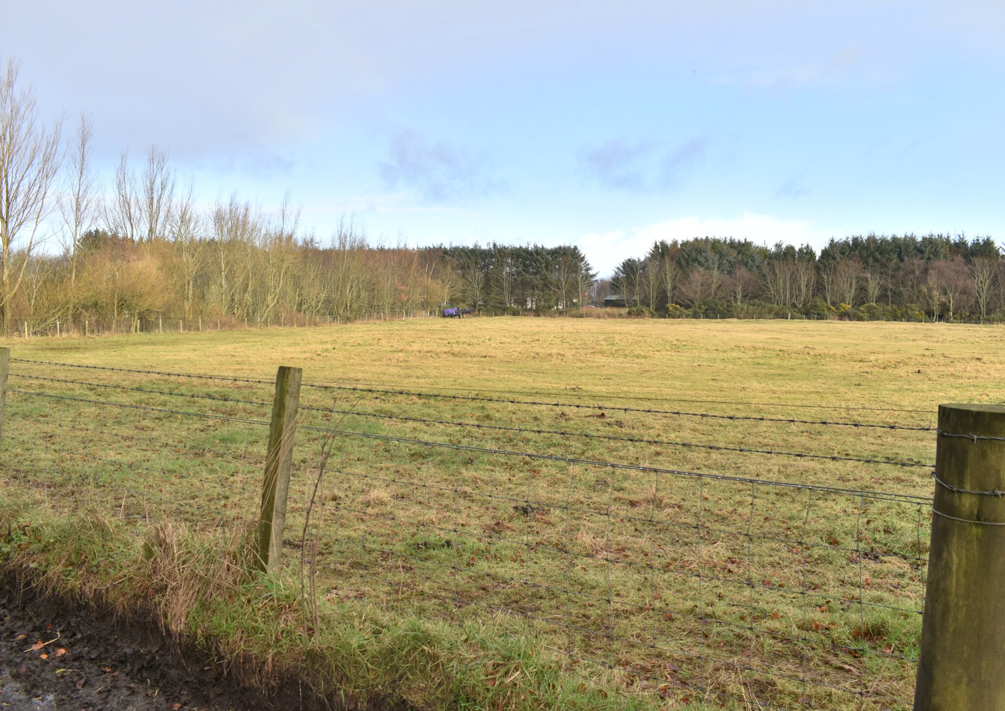 Woodside of Savoch, Fraserburgh for sale Building Photo- Image 1 of 1