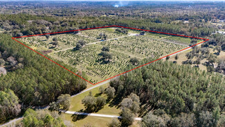 More details for 16385 NW 112th Ct, Reddick, FL - Speciality for Sale