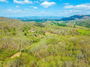 210 Brooks Branch Rd, Leicester, NC for sale Primary Photo- Image 1 of 1