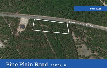 PINE PLAIN Rd, Gaston, SC for sale Aerial- Image 1 of 1