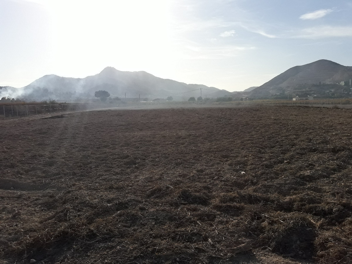 Land in Aspe, Alicante for sale Primary Photo- Image 1 of 5