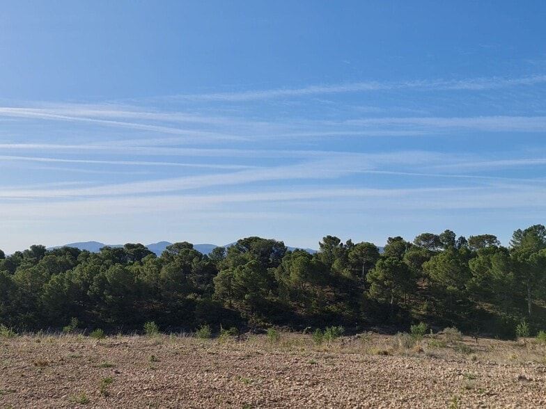 Land in Yecla, Murcia for sale - Primary Photo - Image 2 of 15