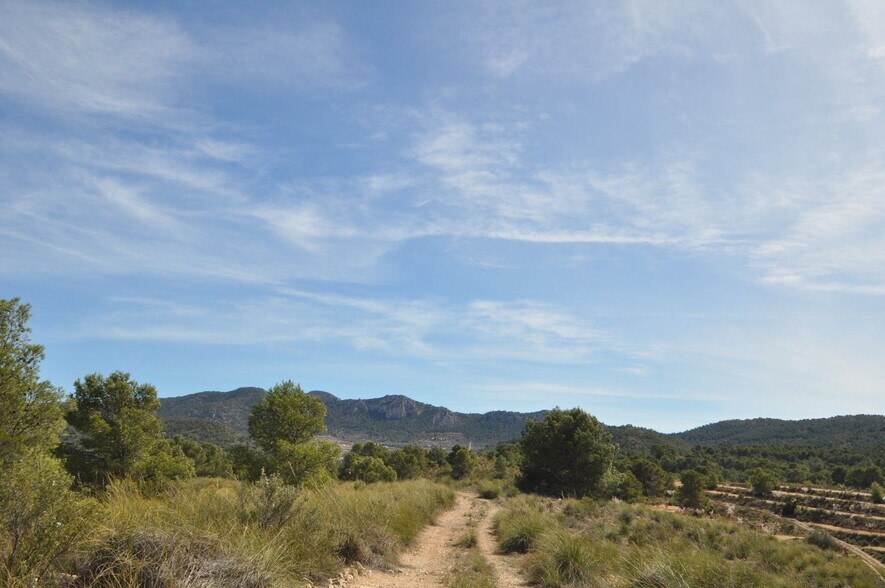 Land in Jumilla, Murcia for sale - Aerial - Image 3 of 23