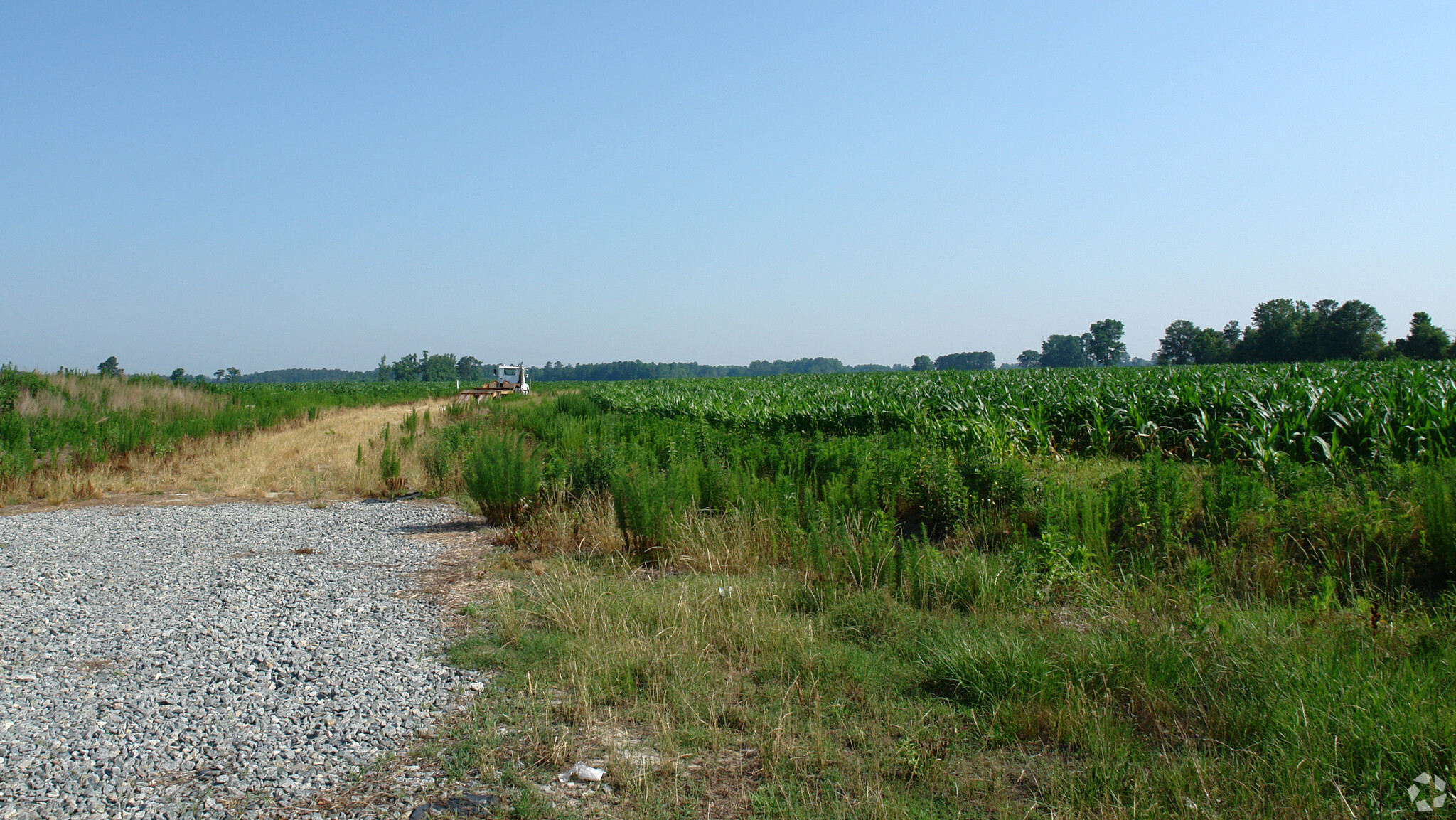 000 W NC Hwy 55, Mount Olive, NC for sale Primary Photo- Image 1 of 5