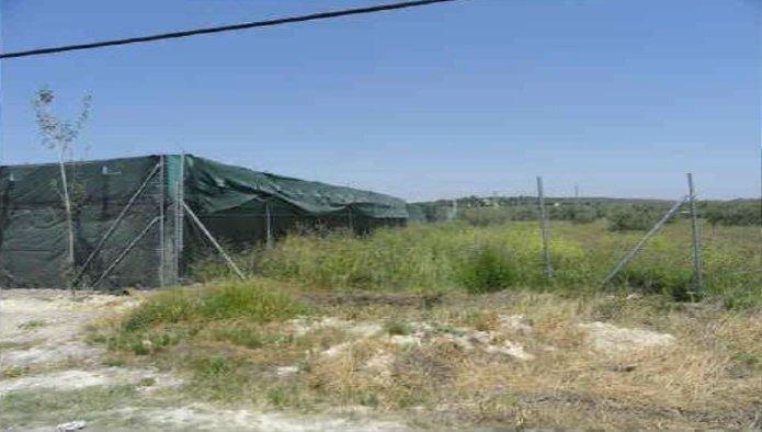 Land in Úbeda, Jaén for sale - Construction Photo - Image 3 of 6