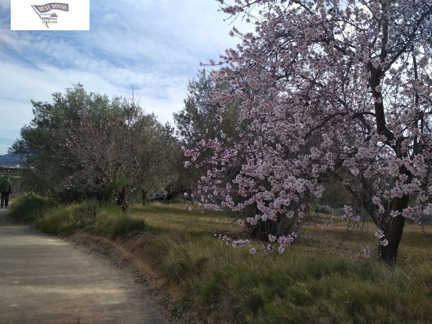 Land in Agullent, Valencia for sale Primary Photo- Image 1 of 7