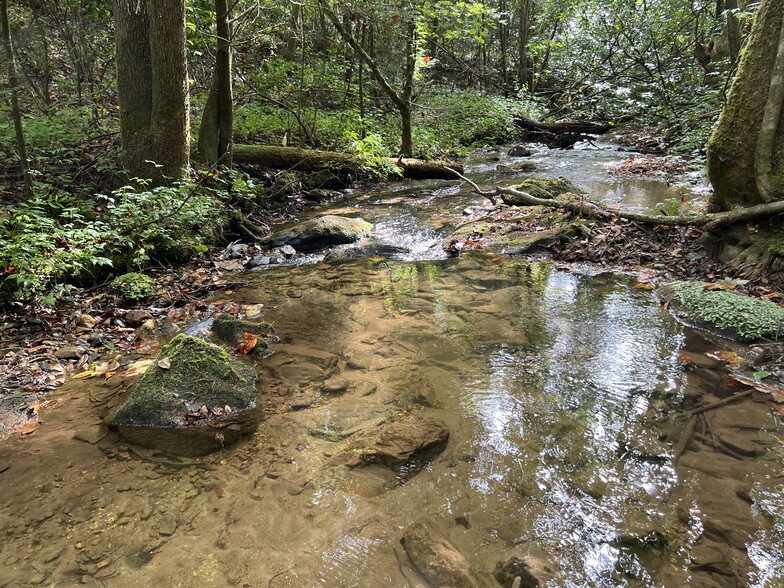 Zion Hill Road, Ellijay, GA for sale - Building Photo - Image 1 of 13