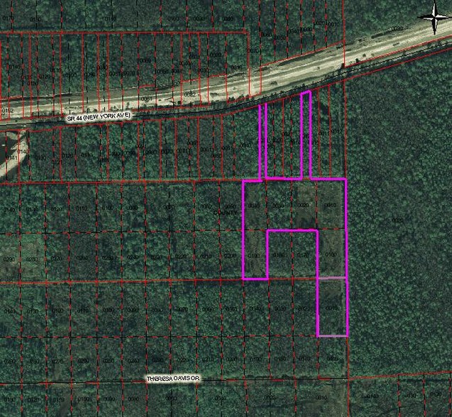 SR 44 Ave, Lake Helen, FL for sale - Primary Photo - Image 1 of 1