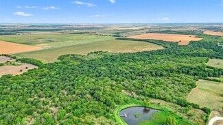 More details for 184ac Winn Road, Collinsville, TX - Land for Sale