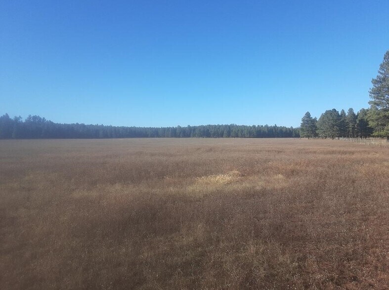 Forest Service Rd 700, Flagstaff 86001 UK