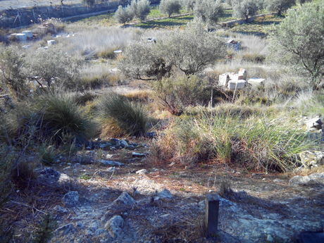 Land in Calasparra, Murcia for sale - Site Plan - Image 2 of 9