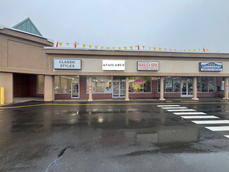 More details for 74-100 Bridge St, East Windsor, CT - Retail for Rent