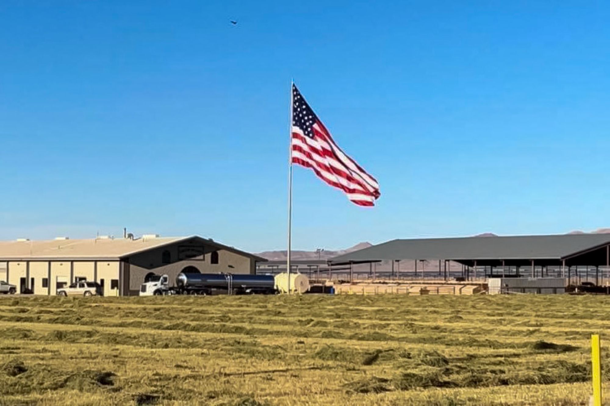 40 Hunewill Ln, Wellington, NV for sale Primary Photo- Image 1 of 1