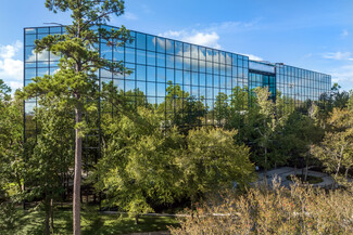 More details for 10077 Grogans Mill Rd, The Woodlands, TX - Office for Rent