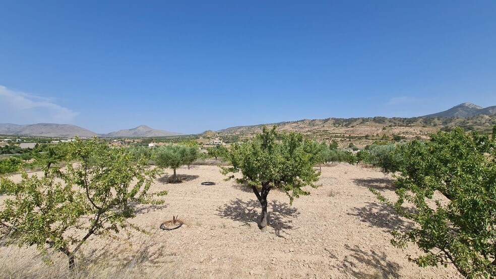 Land in Abanilla, Murcia for sale - Aerial - Image 3 of 10