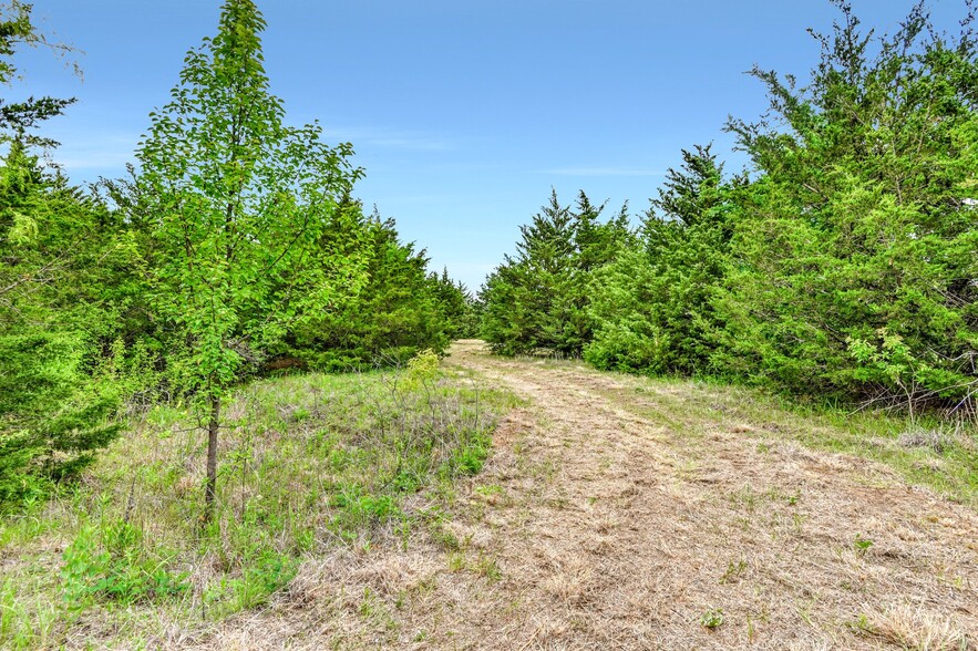 TBD Airport Rd rd, Tioga, TX for sale - Building Photo - Image 2 of 28