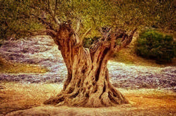 Valenciana, CASTELLÓN DE LA PLANA, Castellón for sale - Building Photo - Image 2 of 2