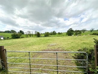 More details for Mineveigh Rd, Dungannon - Land for Sale