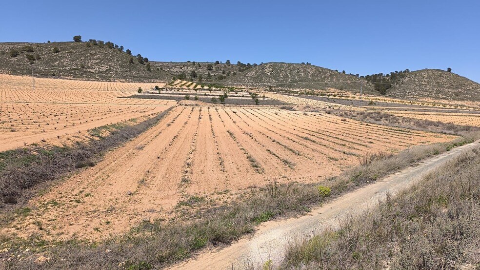 Land in Abanilla, Murcia for sale - Building Photo - Image 3 of 4