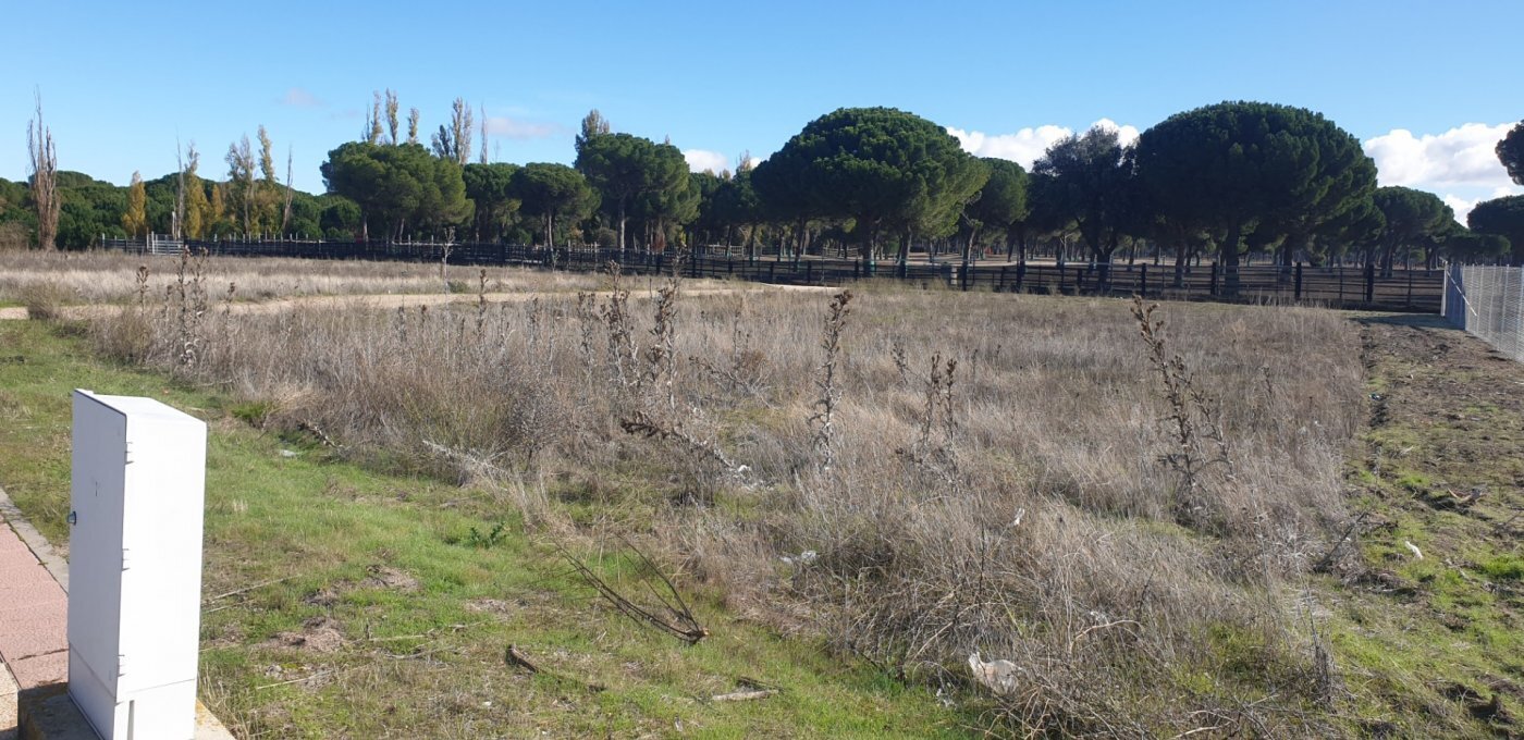 Land in Aldeamayor de San Martín, Valladolid for sale Primary Photo- Image 1 of 26