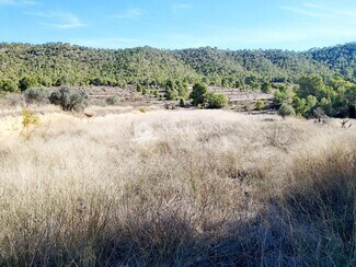 More details for Land for Sale