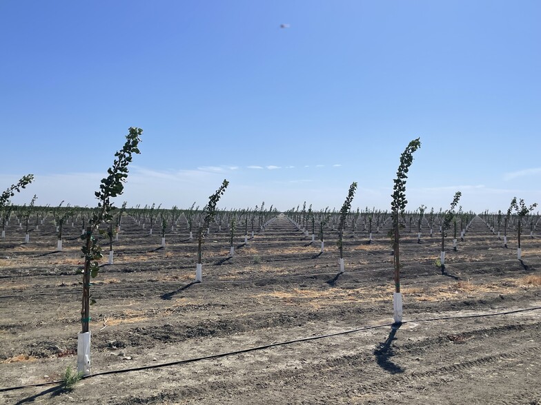 W Floral Ave, San Joaquin, CA for sale - Building Photo - Image 3 of 6