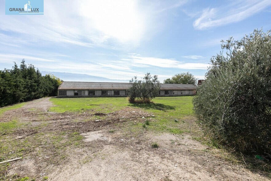 Camino del Albarrate, 6, Atarfe, Granada for sale - Building Photo - Image 2 of 24