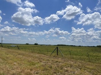 More details for 325 FM 1566 W, Wolfe City, TX - Land for Sale