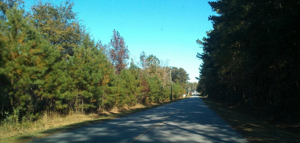 Frances Meeks Way, Richmond Hill, GA for sale - Building Photo - Image 3 of 4