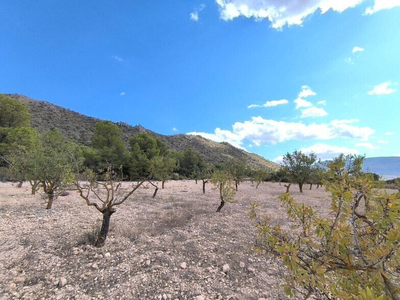 Land in Yecla, Murcia for sale - Primary Photo - Image 2 of 9