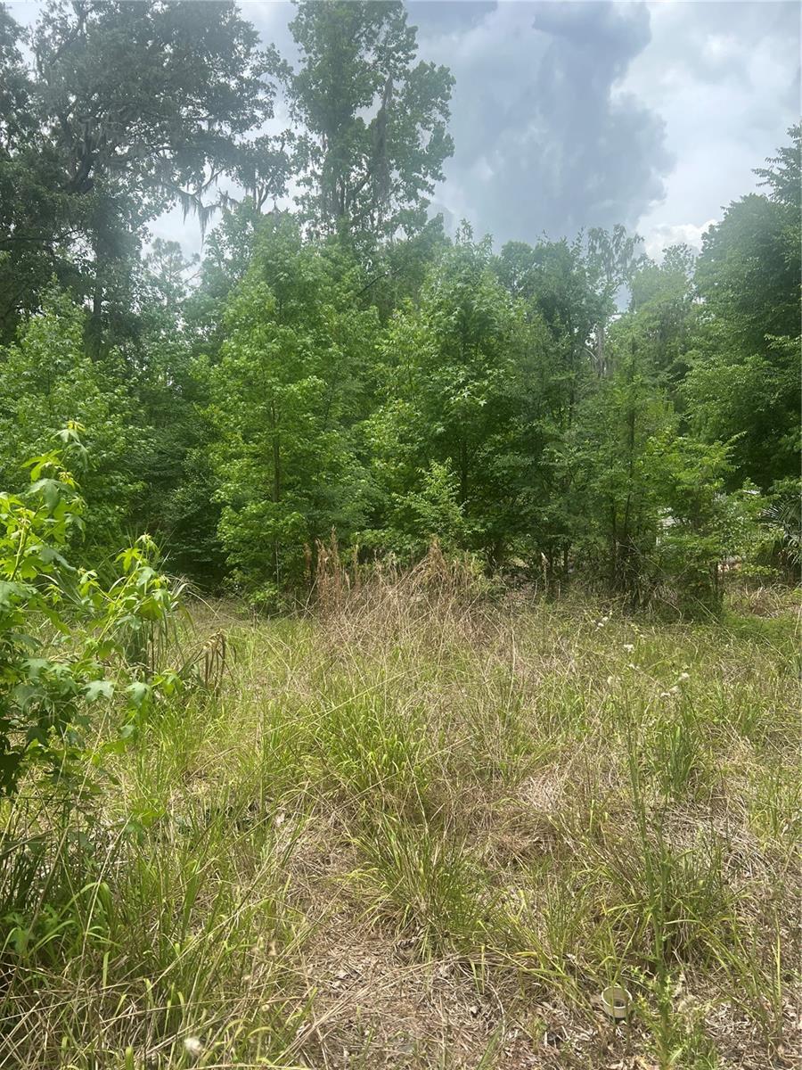 2614 CR 412, Lake Panasoffkee, FL for sale Other- Image 1 of 1