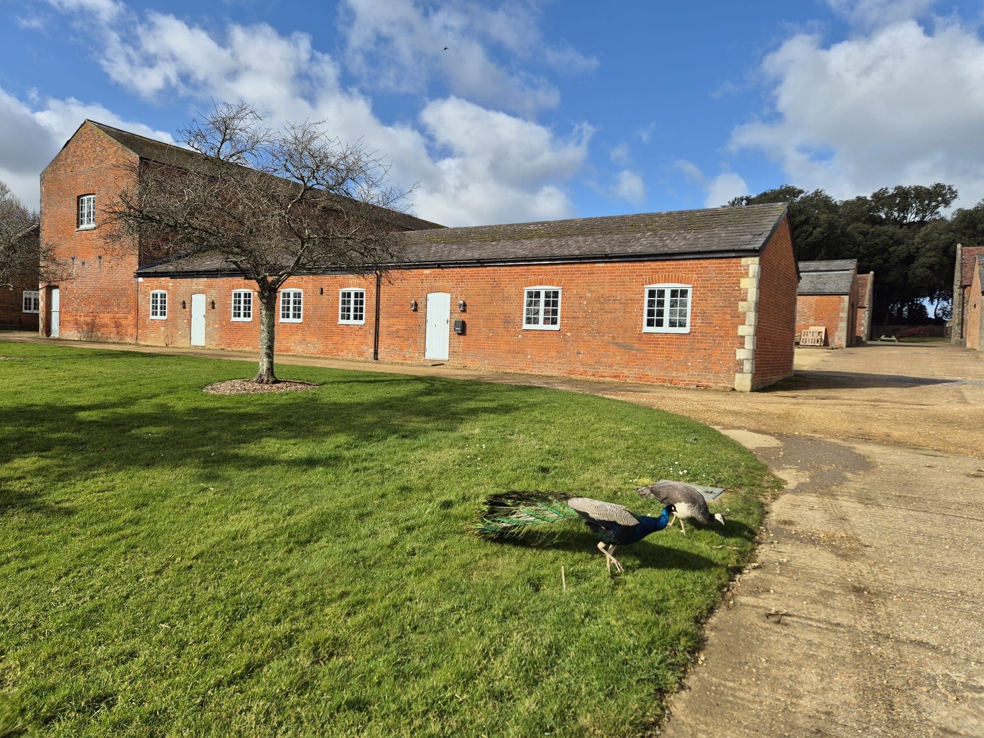 Barton Manor Estate, East Cowes to rent Building Photo- Image 1 of 2