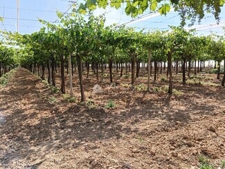 More details for Land for Sale