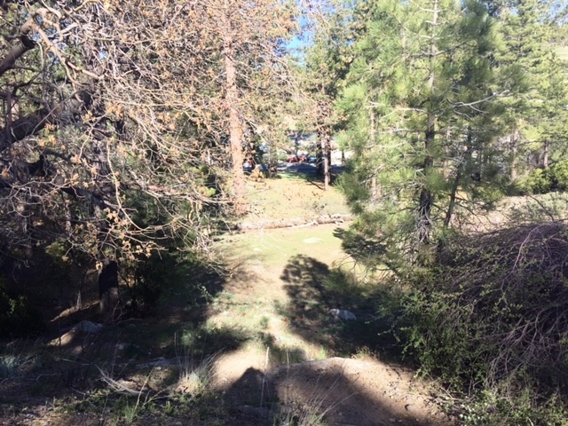 Talmadge Rd, Big Bear Lake, CA for sale - Primary Photo - Image 1 of 2