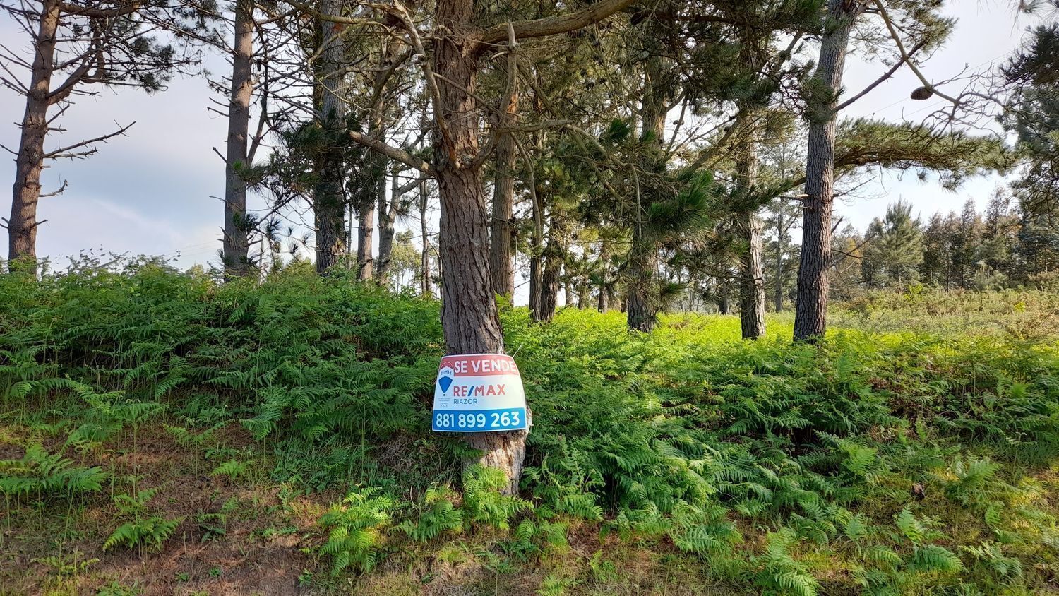 Lugar Val Arriba, 3, A Laracha, La Coruna for sale Building Photo- Image 1 of 29