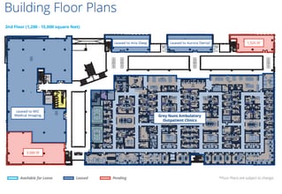 7319 29 Av NW, Edmonton, AB to rent Floor Plan- Image 1 of 1
