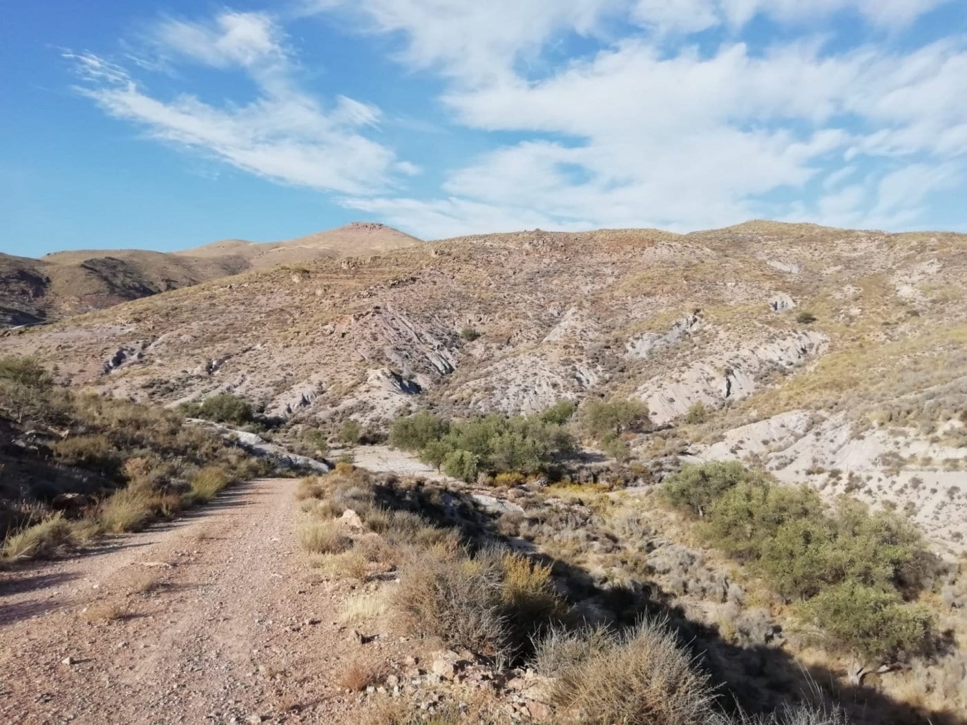 Land in Berja, Almería for sale Primary Photo- Image 1 of 6