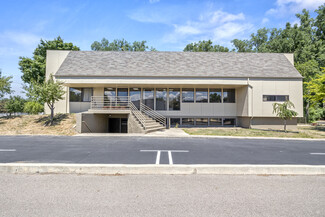 More details for 24724 Lahser Rd, Southfield, MI - Office/Medical for Rent