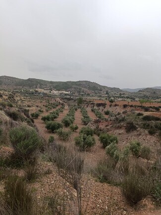 More details for Land for Sale